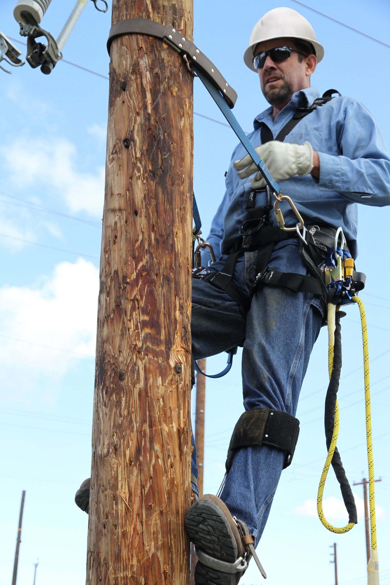 1200136 - Wood Pole Climber's Fall Restricting Device - Interior Strap - WEB - For transmission & distribution poles image 1