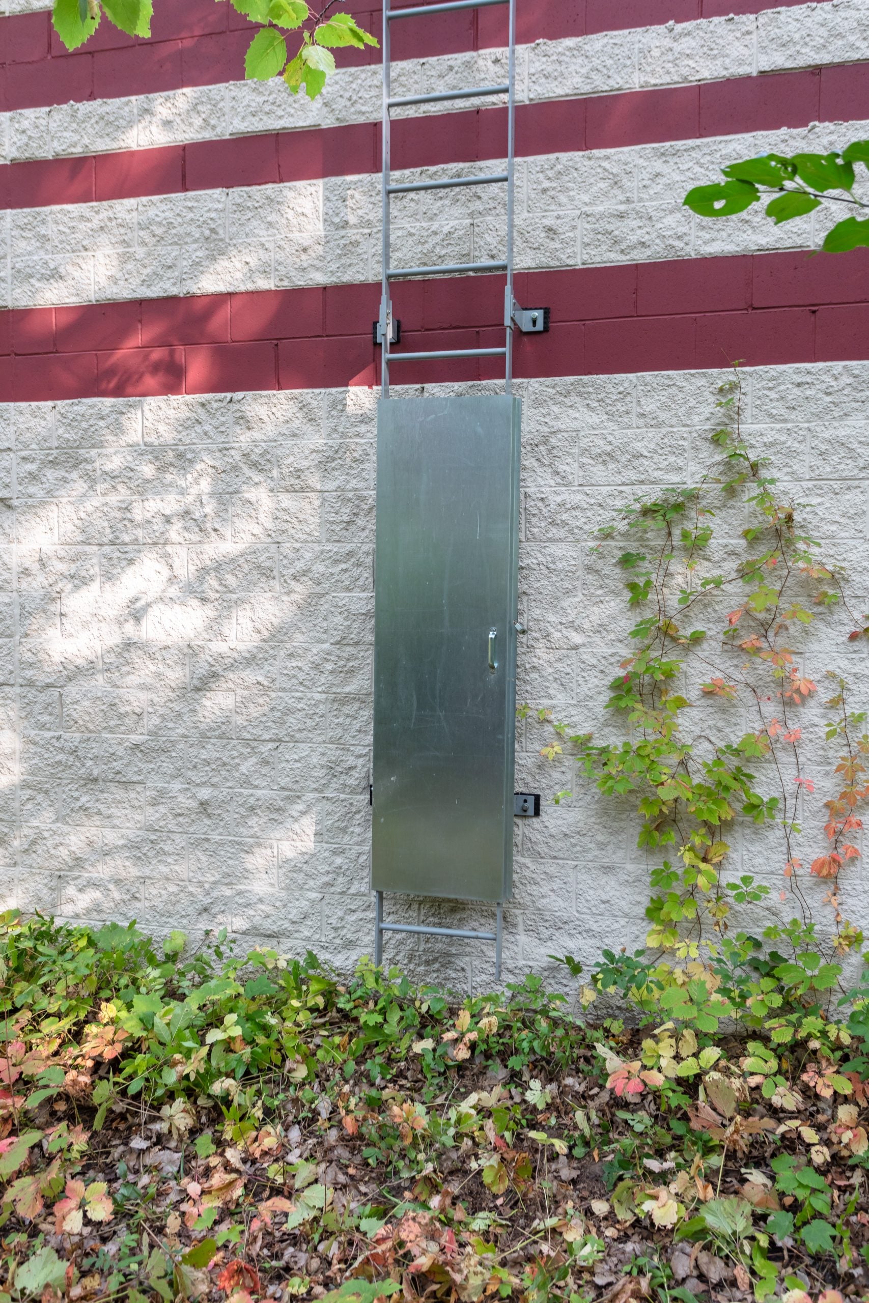 Ladder Guard – Ladder Door Security System Vandal Guard - 6'H with Galvanized Finish- BlueWater image 2