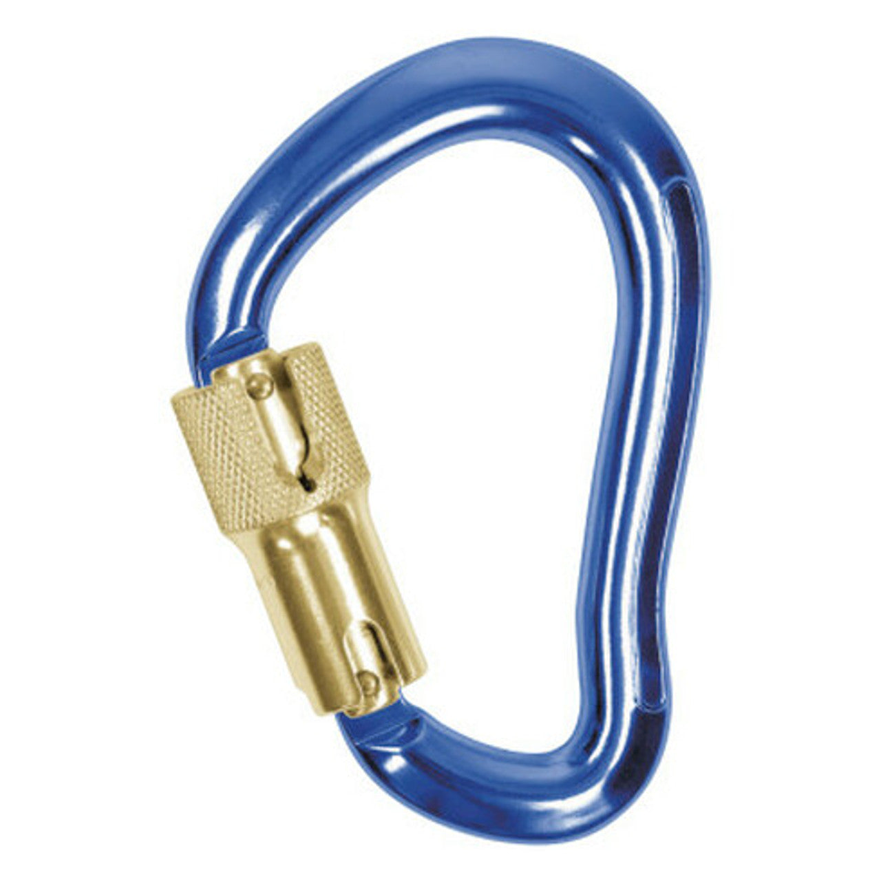 2000025 - Self-Closing/Locking Carabiner, Aluminum, Blue, 3/4 in Gate - 3M DBI-SALA image 0