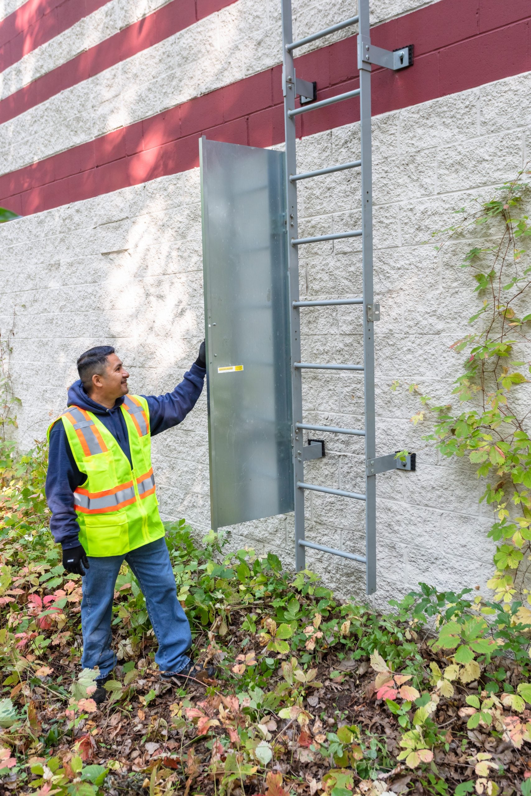 Ladder Guard – Ladder Door Security System Vandal Guard - 6'H with Galvanized Finish- BlueWater image 1