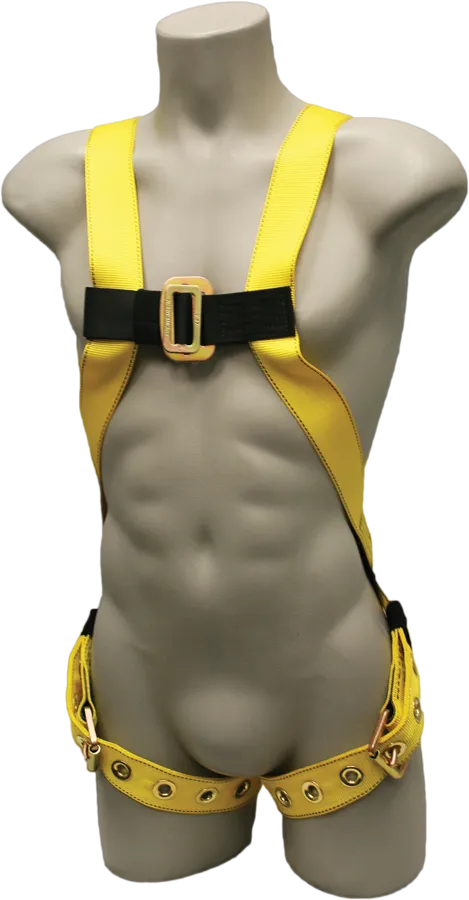 651 Full Body Harness - French Creek Fall Safety image 0