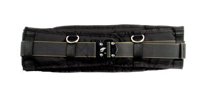 3M DBI-SALA Padded tool belt - Universal design - Extra padding - 5lb. max capacity - 1 EA image 0