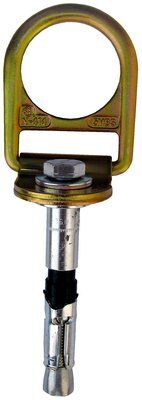 2190055 - Concrete D-ring Anchor with Bolt, 3M PROTECTA PRO image 0